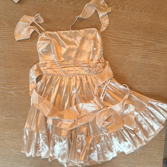 Lucy in the Sky for and flare dress, champagnes (size small) - Picture 3 of 7